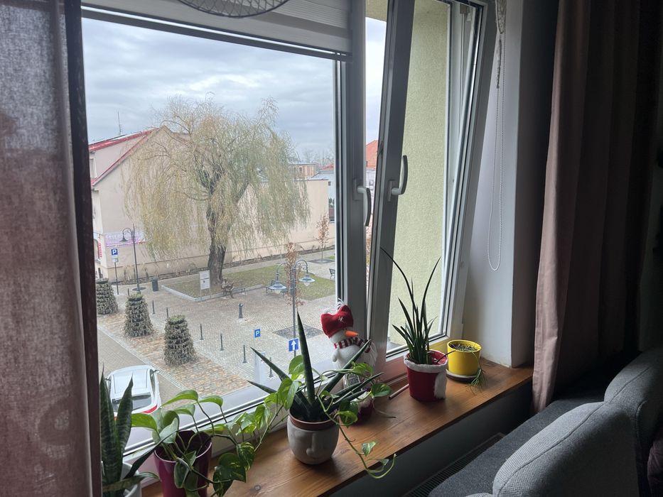 Zdjęcie 7
