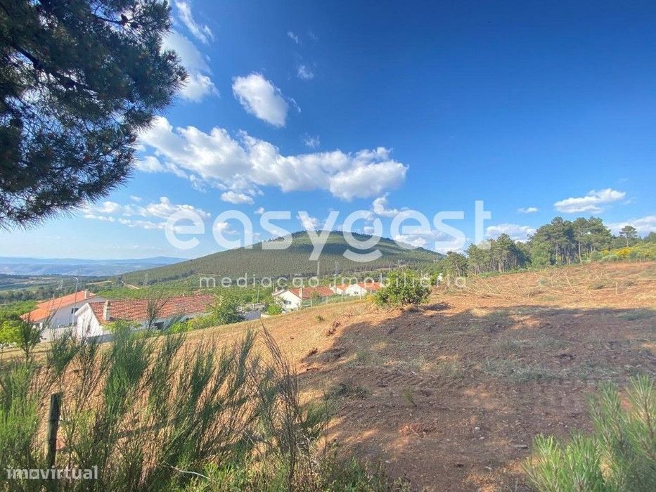 Magnifica Quintinha situada no coração do douro ideal para turismo