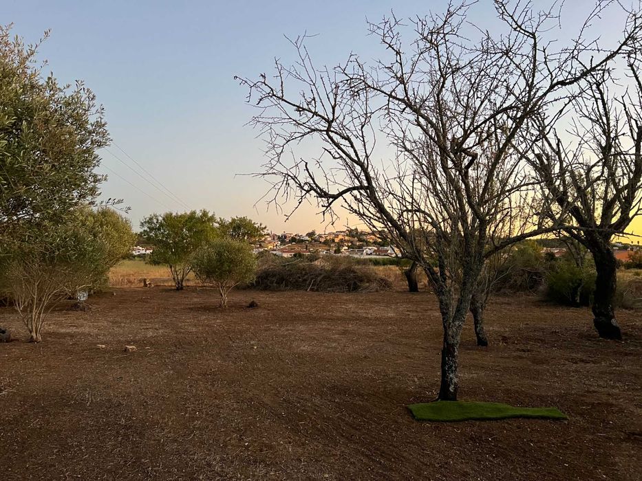 Terreno rústico sito junto à zona urbana de Algoz