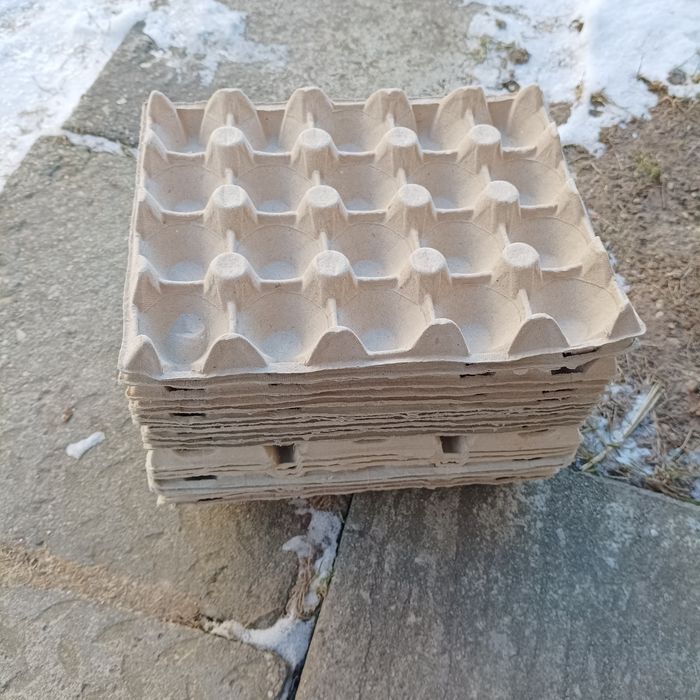 30. Kratki/wytłaczanki po jajkach ,,20," -100 sztuk