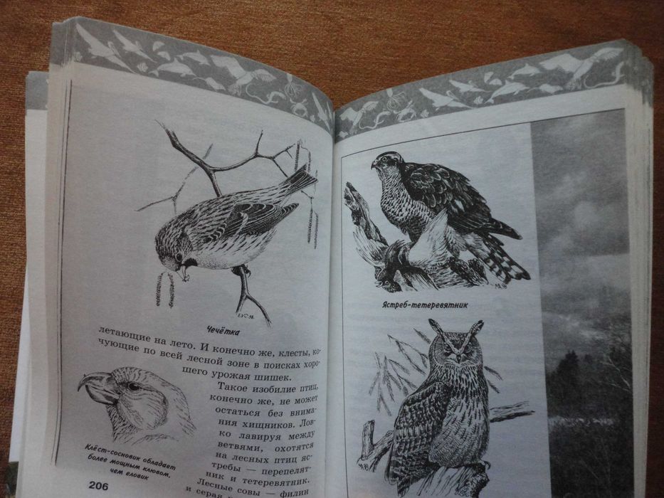 Жизнь животных. Детская энциклопедия