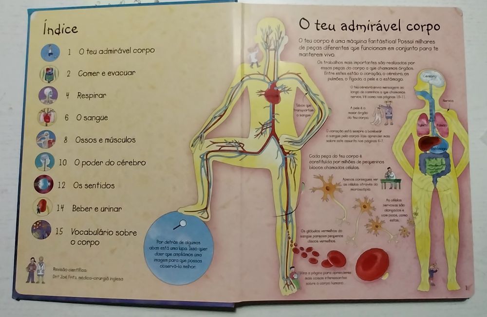 Espreita o teu corpo