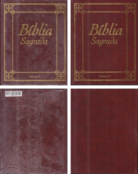 Bíblia Sagrada (2005) – 15 Volumes