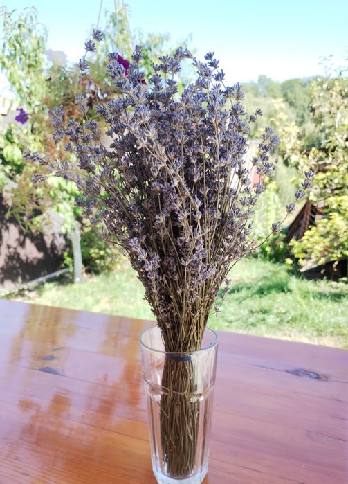 Лаванда сушена, ароматний букетик, сухоцвіт, чай,