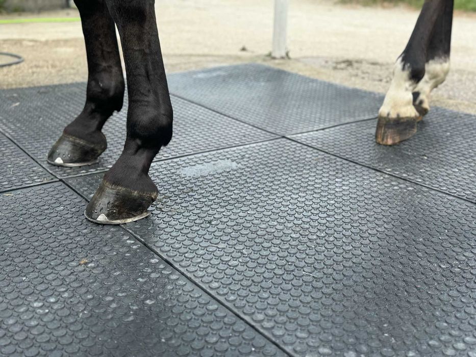 płyty drogowe droga tymczsowe pod baseny legowiskowe