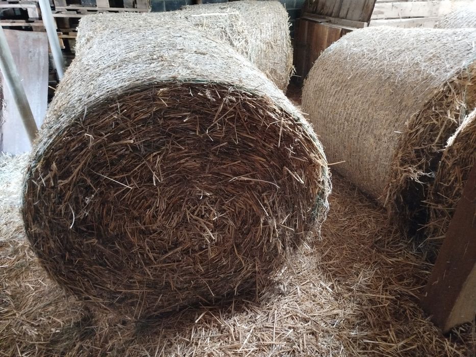 Sloma sprzedam słome