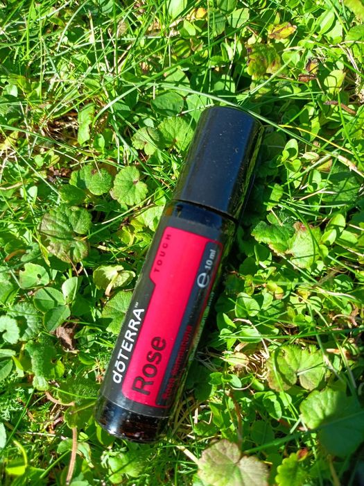 Wyprzedaż! Olejek DOTERRA Rose Róża touch roll-on 10 ml