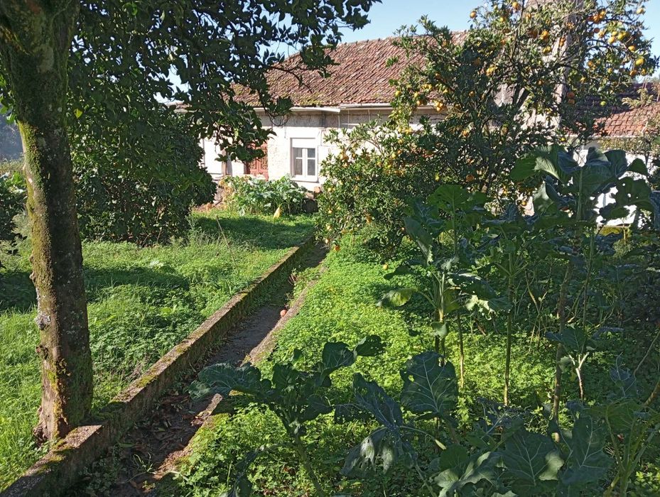 Casa pedra com terreno