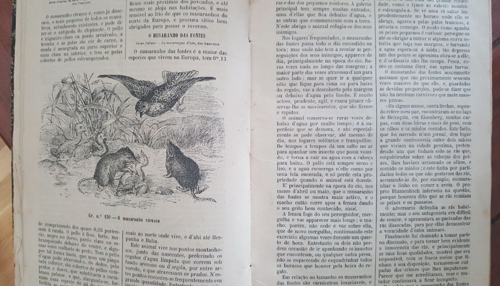 Pedro M. Posser - Maravilhas da creação Vol. 2