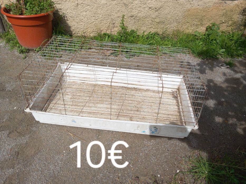 Várias gaiolas para coelhos,porcos da Índia ...
