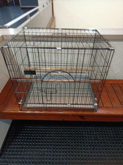 Gaiola para papagaio com umas horas de uso rigorosamente nova