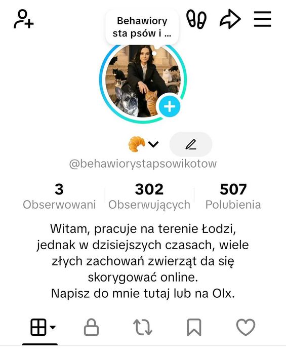 Behawiorysta psów i kotów