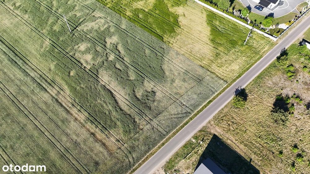 kompleks działek budowlanych - Jezierzyce Kościelne