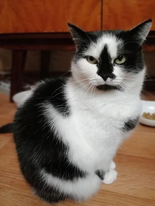 Пошук найкращих батьків