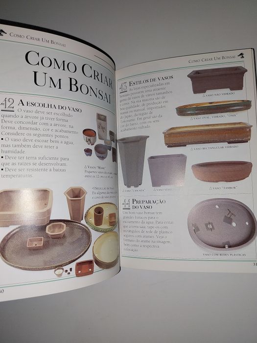 Bonsai - 101 Sugestões