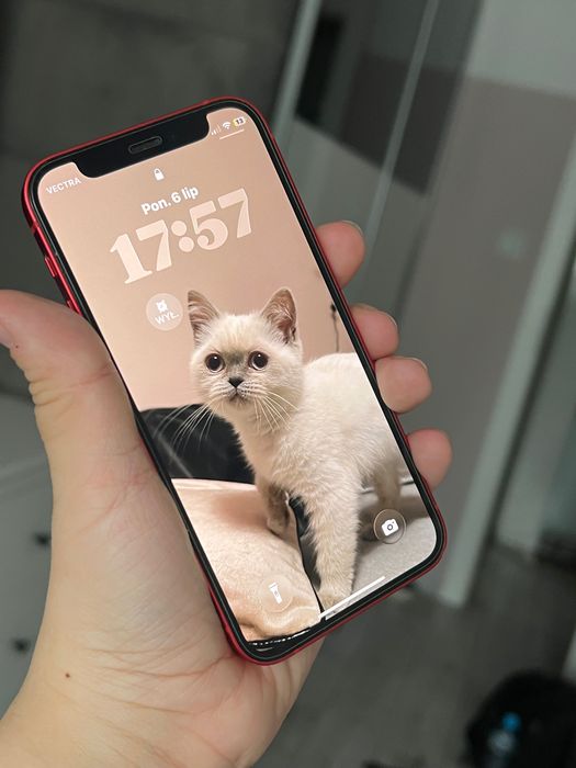 iPhone 12 mini czerwony