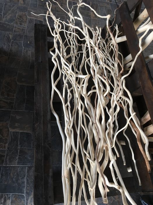 Коріння та гілки для декорування і виробів