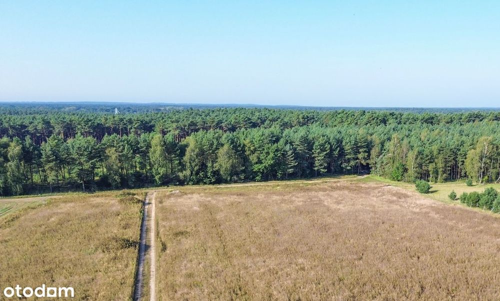 WYJĄTKOWE działki ze Ścianą LASU !! od 957m2 do 1970m2 !! MPZP