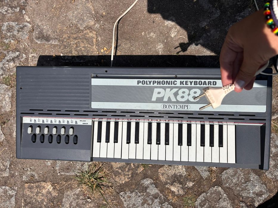 Órgão Elétrico PK88