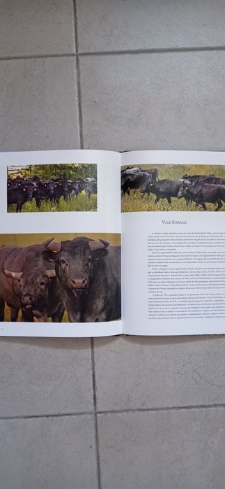 Livro "Ribatejo as nossas Ganadarias"