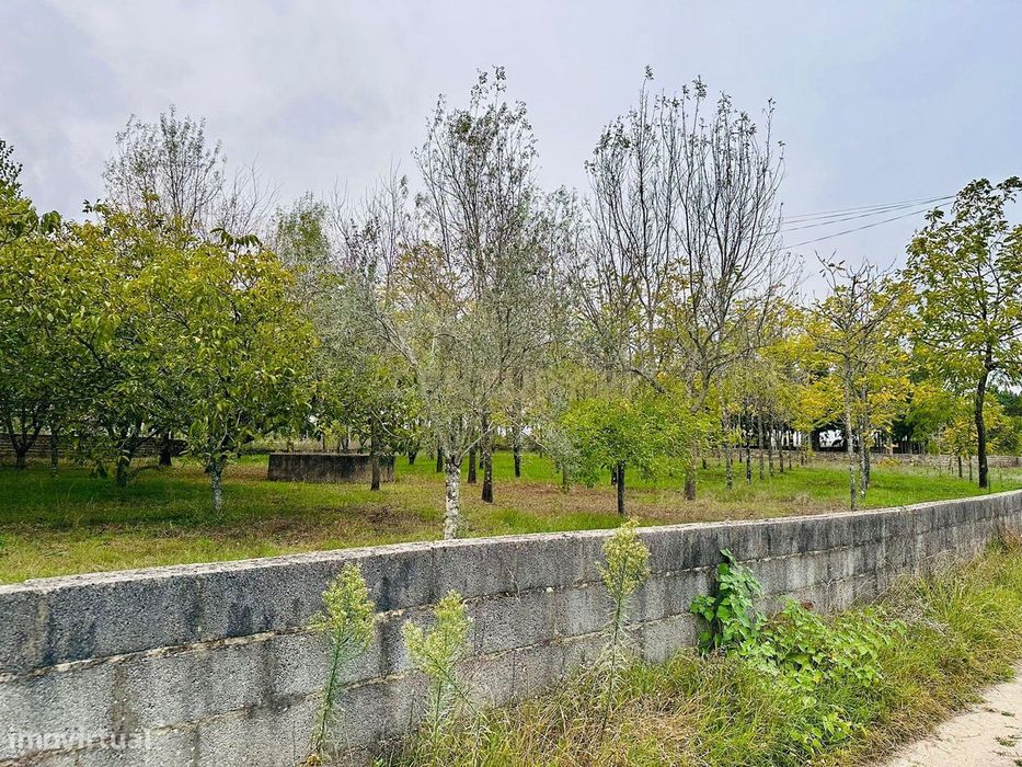 Dois artigos: Urbano com 498 m2 e terreno rústico com 1000 m2 em Vilar