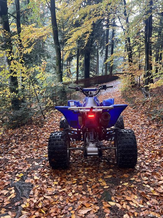 Yamaha raptor 660r