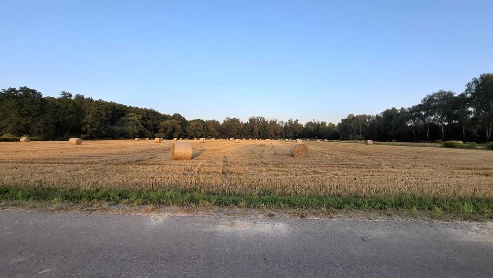 Sprzdam działke 3.20 ha