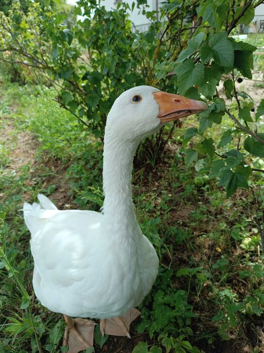 Noclegi, agroturystyka