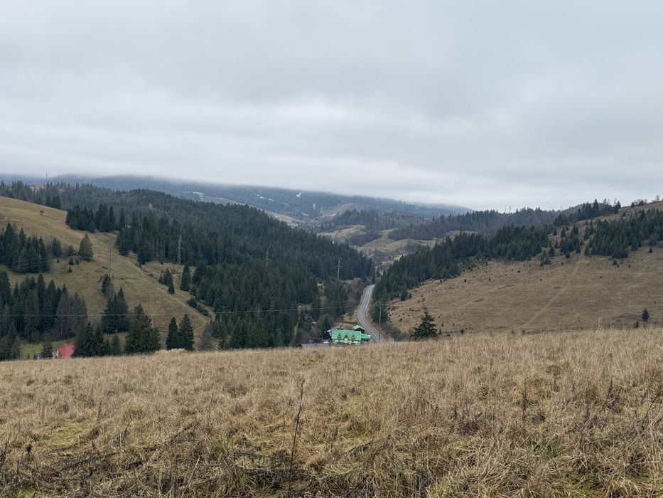 Продається ділянка осг в с. Пилипець