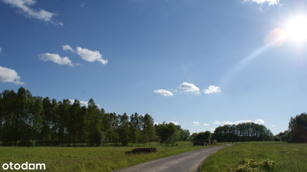Działki - Ścienne - Ińsko