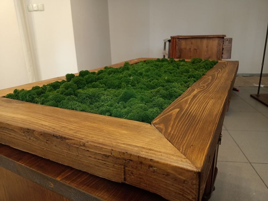 Chrobotek w drewnianej ramie