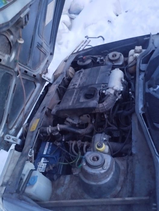 Продам славуту в