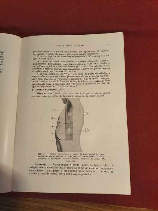 Livro "Semiologia do Aparelho Respiratório" - CXL6