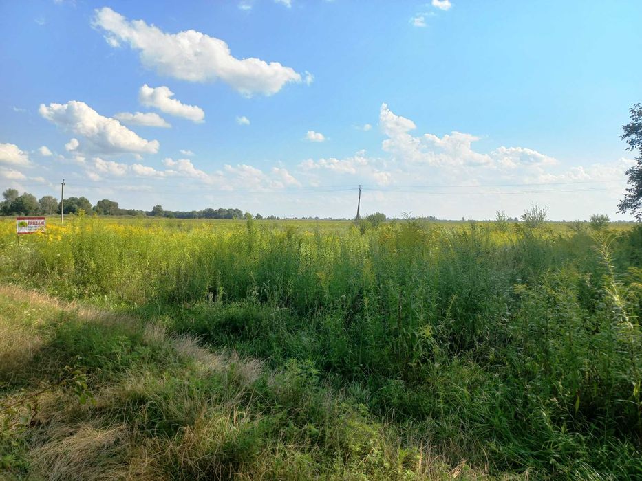Підлісся, 20 соток з великим фасадом на житловій вулиці