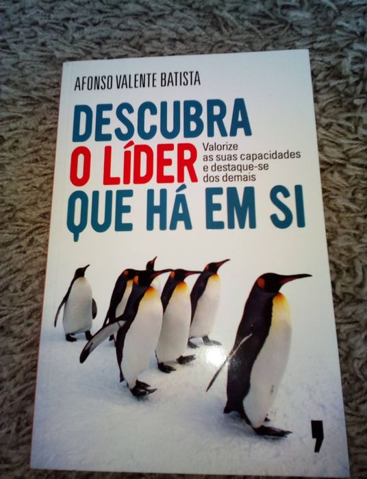 Vários livros como novos