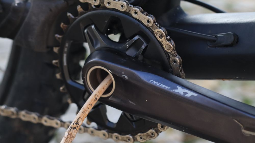 Canyon neuron 7 2023