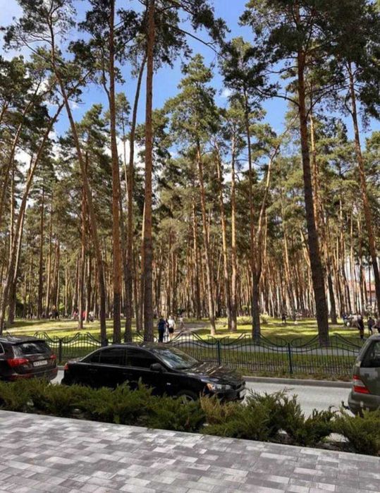 Центральний парк!Євро3к квартира з виглядом на парк!