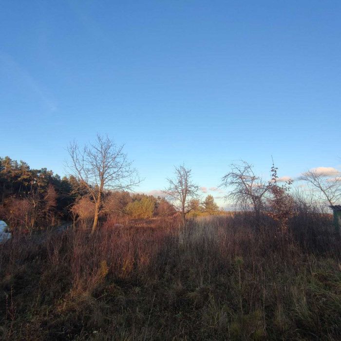 Продам ділянку під будівництво біля лісу!