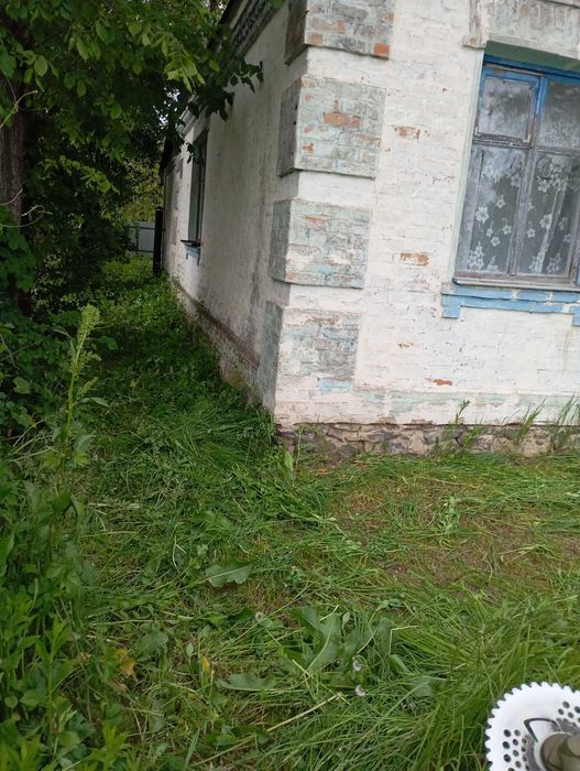 Продаж добротного будинку із земельною ділянкою в с. Шевченкове
