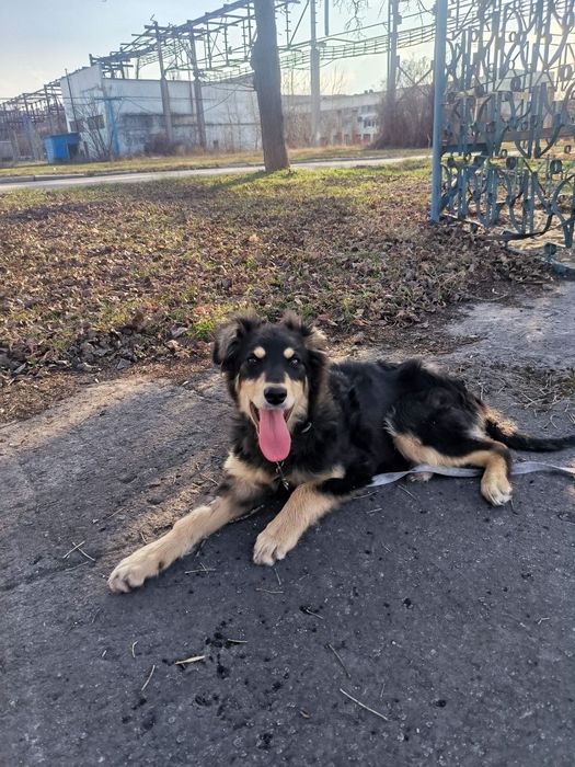 Лейла шукає своїх людей