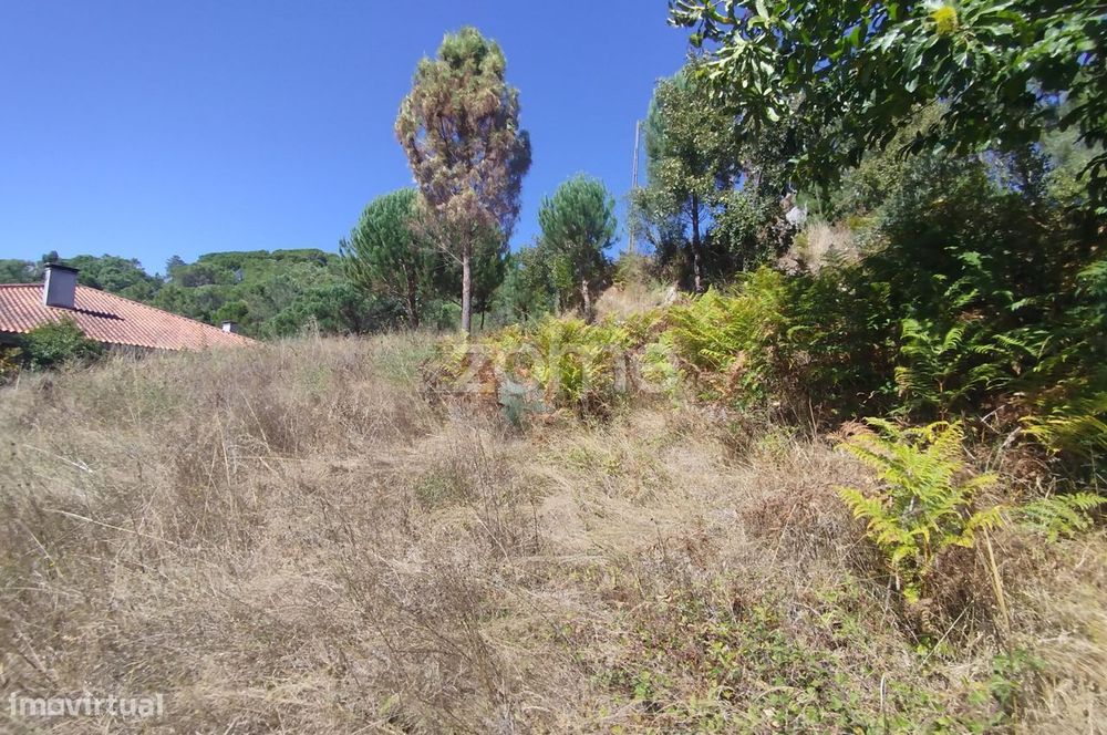 Dois erreno Corvos-Á-Nogueira / Praia Fluvial