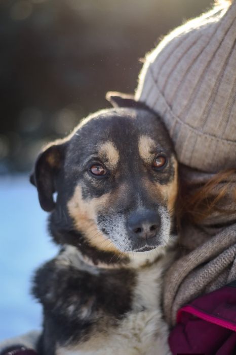 Adoptuj wrażliwego Kacperka