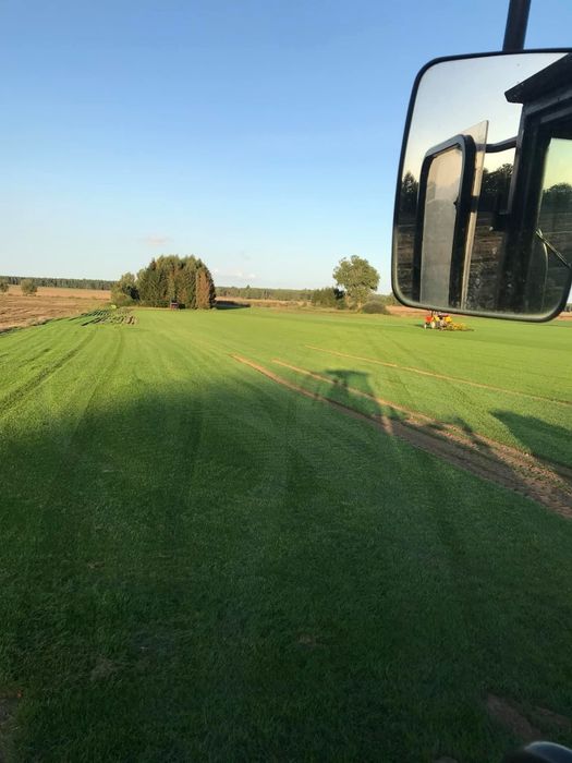 Trawa w rolce *Premium* - PLANTACJA | Montaż