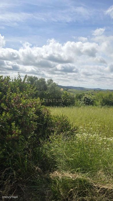 Terreno de 2.880 m² no Arneiro - Oportunidade no Coração do Oeste