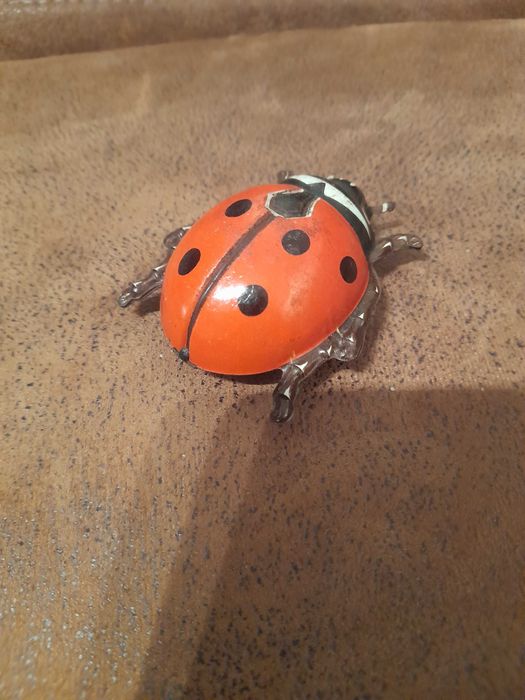 Brinquedo chapa joaninha