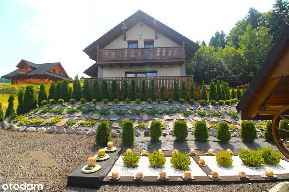 Zdjęcie 6