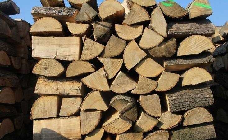 Drewno Buk Dąb Iglaste
