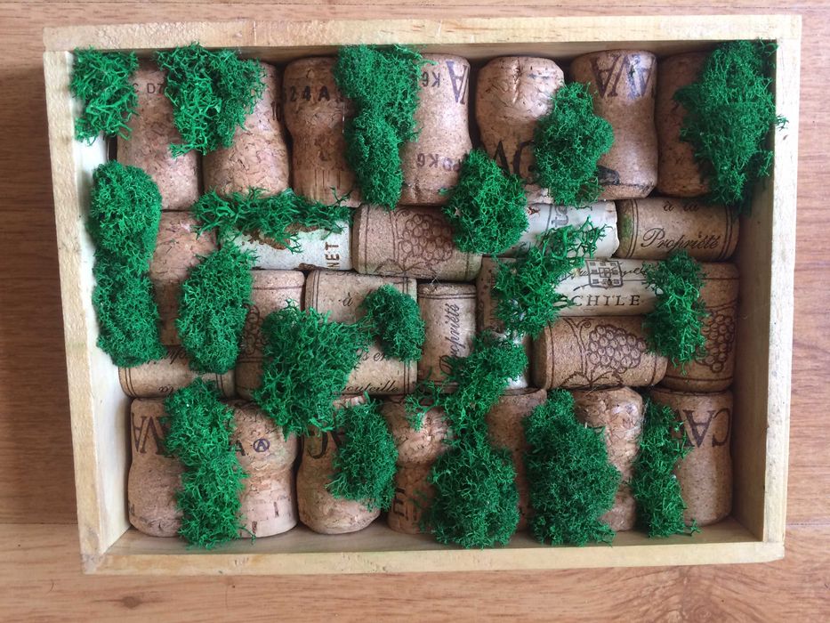 Obraz / kompozycja z mchu chrobotka i korków po winie