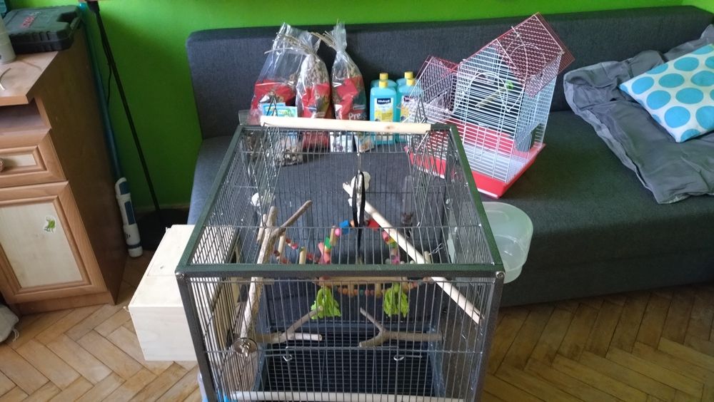 Woliera, klatka dla małych papug, ptaków