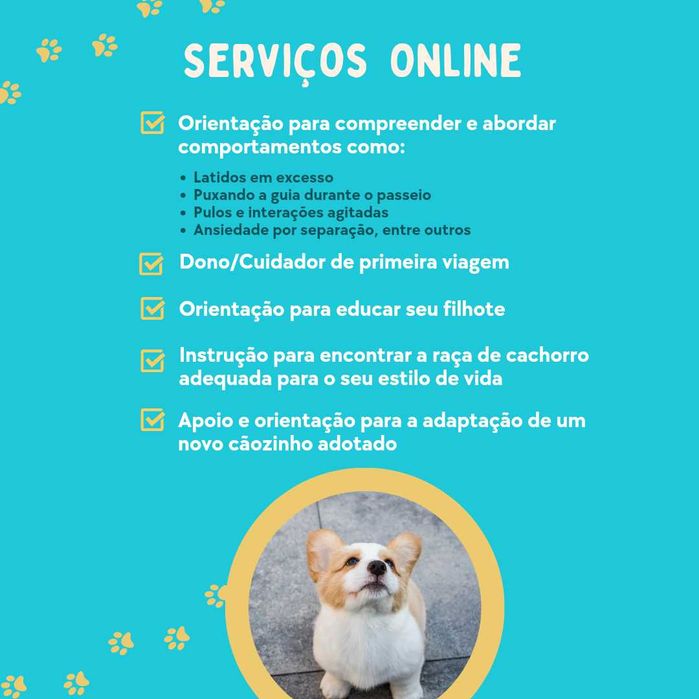 Treino de Cães / Comportamento Canino – Sessões Personalizadas
